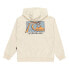 QUIKSILVER Drybridgehoo hoodie