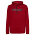 OAKLEY APPAREL B1B PO 2.0 hoodie