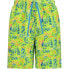 CMP 33R9134 Medium Swimming Shorts