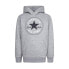 CONVERSE KIDS CTP Core hoodie