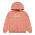 LEVI´S ® KIDS Poster Logo hoodie