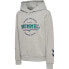 HUMMEL Asher hoodie