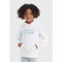 LEVI´S ® KIDS Palm Batwing Fill hoodie