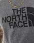 The North Face Easy graphic logo t-shirt in grey