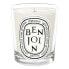 Diptyque Standard Candle Benjoin