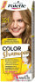 Tönungsshampoo - Palette Color Shampoo 321 - Medium Blond