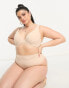 ASOS DESIGN Curve Marina smoothing underwire bra in mink