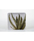 Cactus Verde 4-Pc. Square Dessert Plate