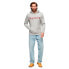 SUPERDRY Core Logo Classic hoodie