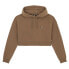 DICKIES Oakport Cropped hoodie