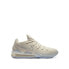 Nike Lebron Xvii Low