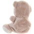 ITEM With Seeds 16x12x10 cm Assorted Bear Teddy