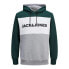 JACK & JONES Logo hoodie