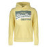 SUPERDRY Vintage Logo Organic Pastel hoodie