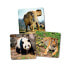 MINILAND Set 3 Puzzles Pro:Animals UV