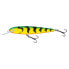 SALMO White Fish Limited Edition Deep Runner Floating Jointed Minnow 130 mm