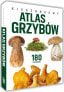 Peggy Diggledey Kieszonkowy atlas grzybów