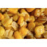 MIVARDI Corn 5kg Corn