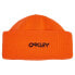 OAKLEY APPAREL B1B Logo Beanie