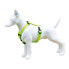 FREEDOG Nylon Neon Harness