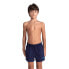 ARENA Bywayx R Swimming Shorts