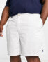 Polo Ralph Lauren Big & Tall Prepster icon logo twill shorts in off white