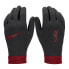 Nike Liverpool Fc Thermafit