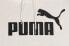 Puma Bluza męska Puma ESS Big Logo Hoodie FL (s) Evening kremowa 586687 87 XL