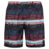 PROTEST Maurits Swimming Shorts