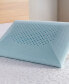 Comfort Tech Serene Foam Traditional Pillow, Standard