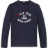 TOMMY HILFIGER Monotype Flock Regular long sleeve T-shirt