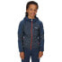 REGATTA Dissolver V full zip fleece