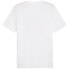 Puma Graphics Summer Sports Tee II M 627909 02