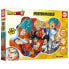 EDUCA 250 Pieces Dragon Ball Poster Puzzle Puzzle