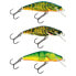 SALMO Bullhead minnow 6g 60 mm