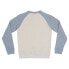 DC Shoes Strpltrglncwb sweatshirt