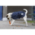 DIEGO & LOUNA 600 D Dog Jacket