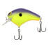 Shimano Purple Back Chart MACBETH ORIGINAL Crankbait (MB63PC) Fishing