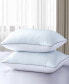 Flipable Summer/Winter White Goose Feather 2-Pack Pillow, Jumbo