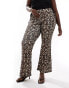 ONLY Curve ribbed flared trousers in leopard print