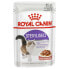 ROYAL CANIN Sterilised Chunks In Sauce 85g Wet Cat Food 12 Units