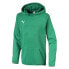 Puma Liga Casuals Hoody JR