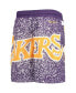 Big Boys Purple Los Angeles Lakers Hardwood Classics Jumbotron Shorts