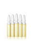 Charlotte Meentzen Wirkstoff-Ampullen Q10 Protect (5 x 2 ml)