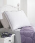 Dream Infusion Lavender Scented Soft Touch Pillow, Standard