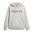 SUPERDRY Core Logo Classic hoodie