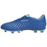 Adidas Predator Accuracy.4 FxG M GZ0010 football shoes