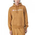 Champion Hooded Sweatshirt M 220253.MS034