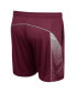 Men's Maroon Texas A&M Aggies Laws of Physics Shorts