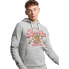 SUPERDRY Vintage Logo Narrative hoodie